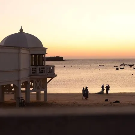 Esencia De Cadiz Entre La Vina Y El Mercado Extérieur photo